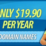 domainpic