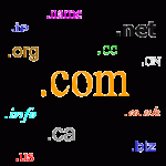 Domain Check Domain Check