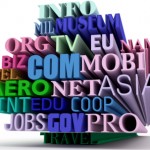 Domain Reg Domain Reg